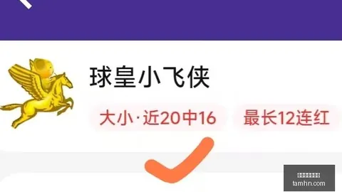 2026赛季焦点连续，比分投注，9周霸榜，热力全开信心满满攻略指南